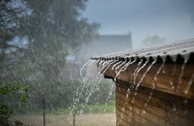images (7)