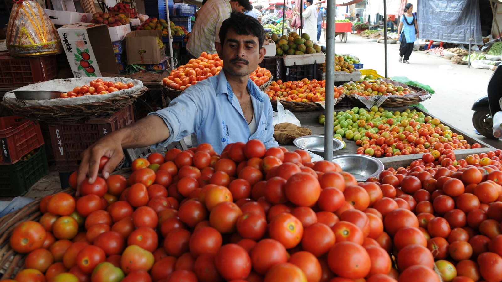 It-may-still-take-two-more-months-for-tomato-price_1689322596691_1689322619968
