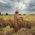 farmer