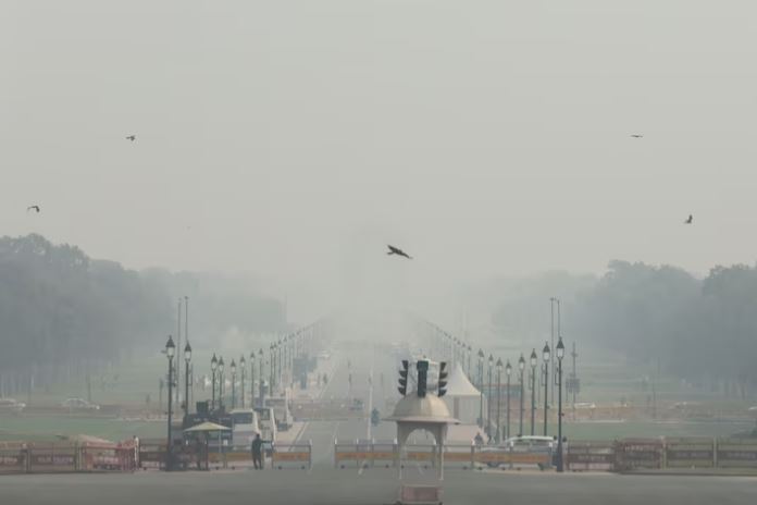 delhi