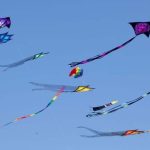 kite