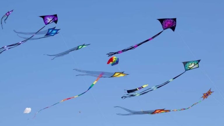 kite